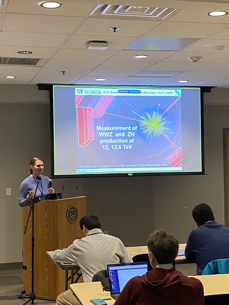 Dr. Kelci Mohrman presenting at the Multi-Boson Interaction Workshop