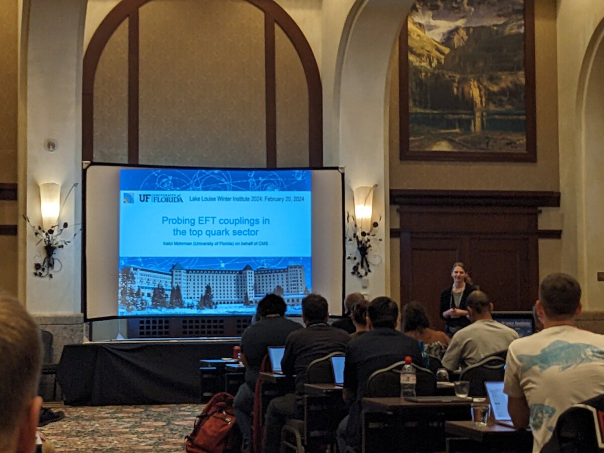 Dr. Kelci Mohrman presenting at Lake Louise Winter Institute