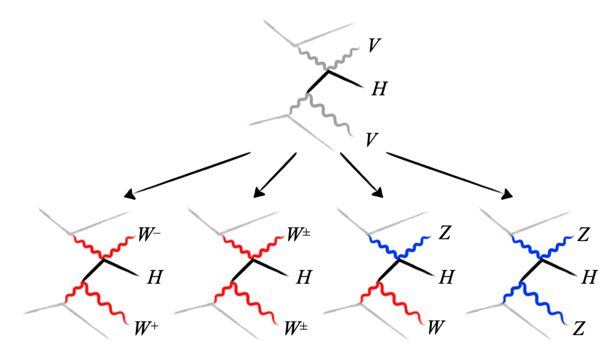 Example Feynman diagrams for VVHH coupling in VBS