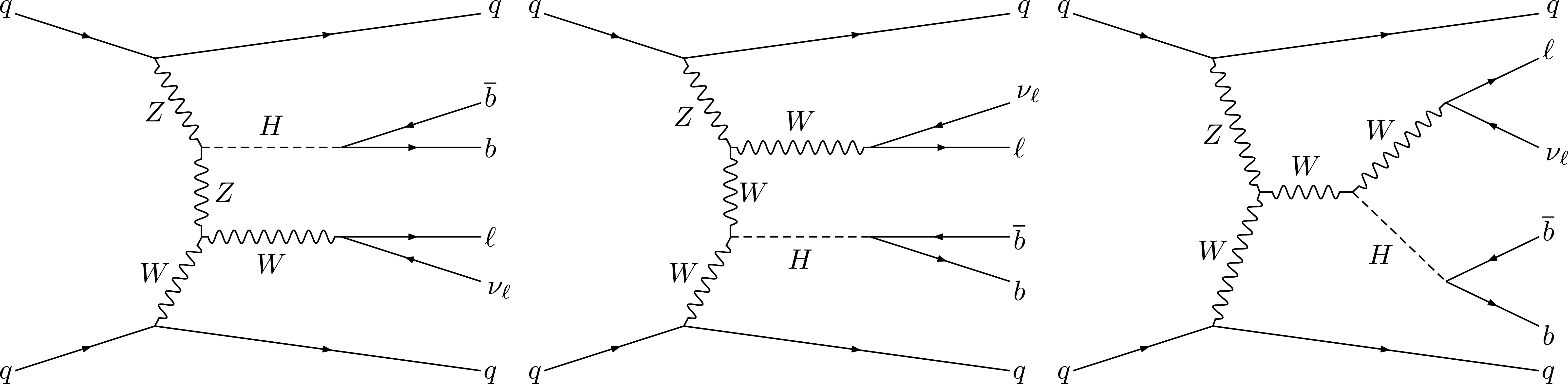 Example Feynman diagrams for VVHH coupling in VBS